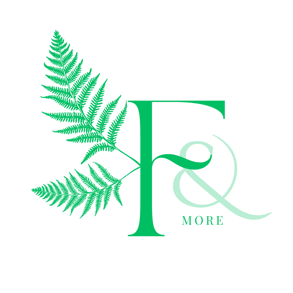 F& more logo